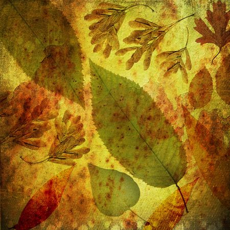 Old grunge background with abstract floral ornament 