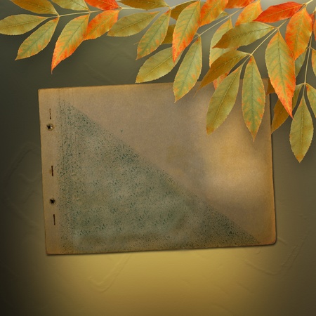 Grunge papers design in scrapbooking style with foliage and page albumの写真素材