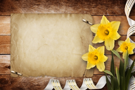 Card for invitation or congratulation with bouquet of flowers narcissusの写真素材