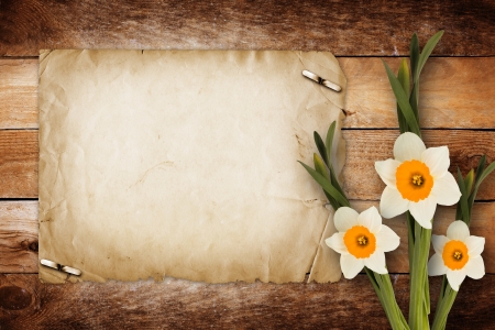 Card for invitation or congratulation with bouquet of flowers narcissusの写真素材