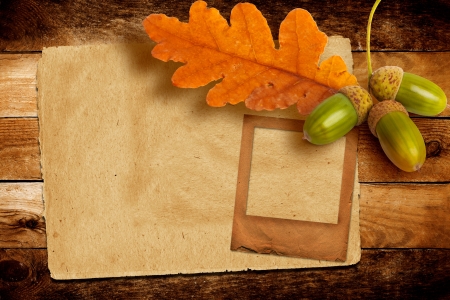 Old grunge slide with autumn oak leaves and acorns on the abstract background の写真素材