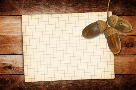 Old grunge paper with autumn oak leaves and acorns on the abstract の写真素材