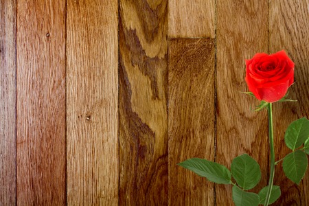 Red rose with green leaves on the wooden abstract background の写真素材