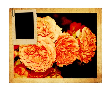 Old vintage card with a bouquet of beautiful pink roses on white isolated background.