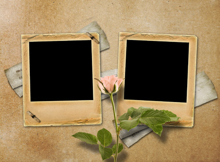 Bouquet of beautiful roses with slide for invitation or congratulation on abstract paperの写真素材