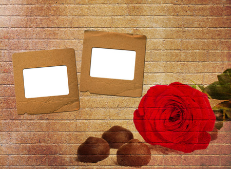 Bouquet of beautiful roses with slide for invitation or congratulation on abstract paperの写真素材