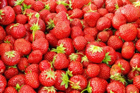 Large box of ripe tasty strawberries. Summer harvest.  Top view flat lay group objectsの写真素材