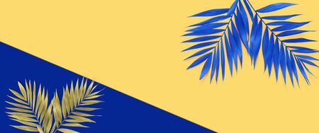 Minimal tropical blue palm leaf on yellow paper background. 
Flat lay Top view with copy space for ...