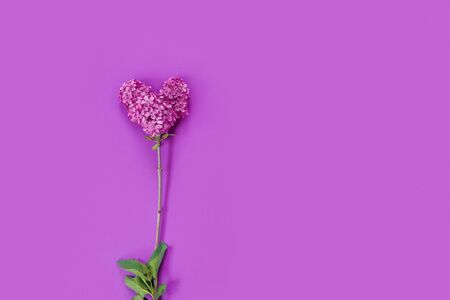 Twigs of purple lilac in the form of heart on violet paper background for Valentine's Day. 
Flat lay, top view, copy space concept.の写真素材