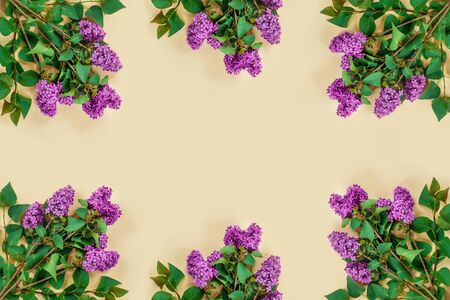 Purple  lilac in modern style on beige paper  background. Poster design. Creative layout.
Flat lay, top view, copy space concept.の写真素材