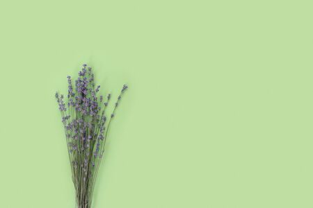 Branches of dry purple fragrant lavender on  green paper background. Flat lay, top view, copy space concept.の写真素材