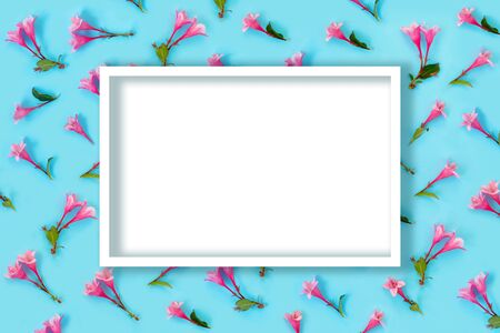 Beautiful pink weigela flowers on blue paper background. Trendy creative backdrop. Flat lay, top...
