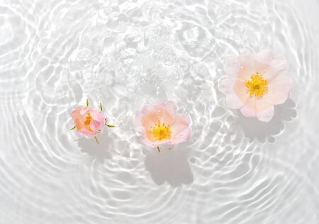 Greeting card with beautiful rose petals macro with drop floating on surface of the water close up. It can be used as background.

Flat lay, top view, copy space concept.の写真素材