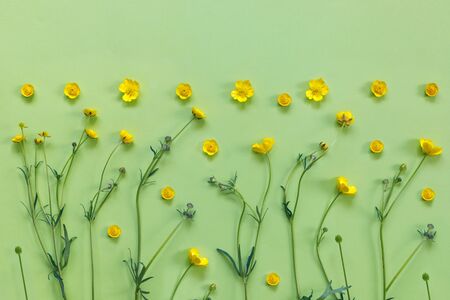 Beautiful delicate postcard with pattern of yellow buttercup flowers for holiday greeting or invitation.
Flat lay, top view, copy space concept. Creative green trending background.の写真素材