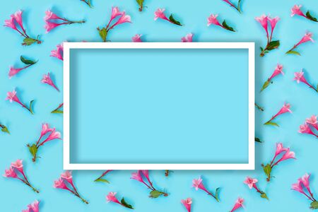 Beautiful pink weigela flowers on blue paper background. Trendy creative backdrop. Flat lay, top...