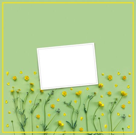 Beautiful delicate postcard with pattern of yellow buttercup flowers for holiday greeting or invitation.
Flat lay, top view, copy space concept. Creative green trending background.の写真素材