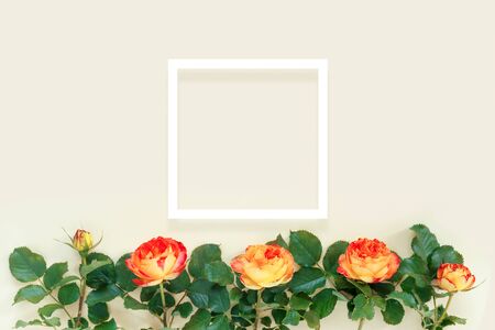 Beautiful red rose with a white frame on a delicate yellow background. 
Creative floral pattern.

Flat lay, top view, copy space concept.の写真素材