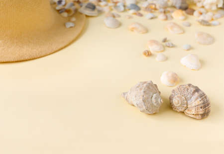 Beautiful straw hat with shells on the ocean coast. Nature summer background. Flat lay, top view,...