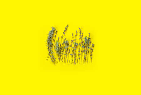 Bouquet of dry purple fragrant lavender on yellow paper background. Great for greeting-card. Flat lay, top view, copy space concept.の写真素材
