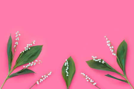 Pink background with white delicate lily of the valley flowers for mother's day card. Modern minimal flat lay.の写真素材