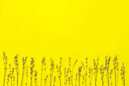 Bouquet of dry purple fragrant lavender on yellow paper background. Great for greeting-card. Flat lay, top view, copy space concept.の写真素材