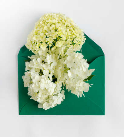 Greeting card with envelope and white hydrangea flowers for mother's day or birthday. Creative...