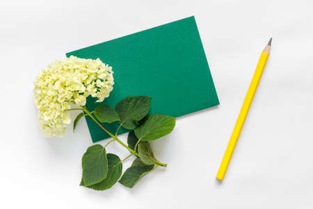 Beautiful bouquet of hydrangeas with card on white background. Greeting card for the holiday....