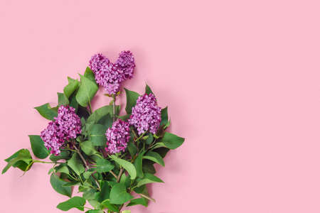 Mother's day card with bouquet of lilacs on pink paper background. Flat lay creative mockup, top view, copy space for text.の写真素材