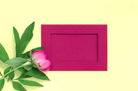 Bouquet of beautiful pink peonies on yellow paper background. Creative spring concept. Festive...