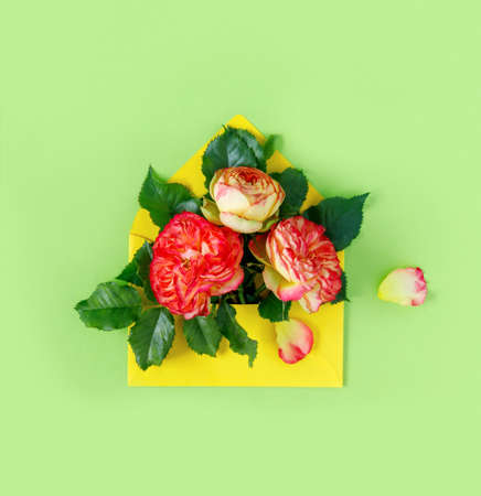 Bouquet of red roses in envelope on green background. Minimalistic concept for spring holidays....