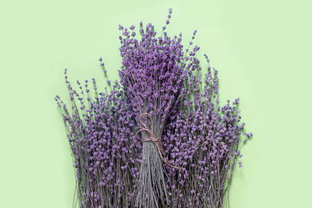 Branches of dry purple fragrant lavender on green paper background. Flat lay, top view, copy space concept.の写真素材