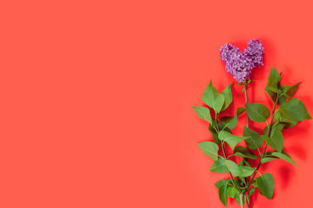 Valentine's Day card with bouquet of lilacs on paper background. symbolic heart. Flat lay creative mockup , top view, copy space for text.の写真素材
