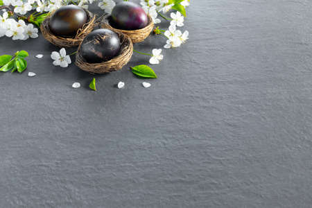 Chicken nests with painted Easter eggs on dark tabletop. concept creative banner. Holiday greeting card. Flat lay top view with copy space.の写真素材
