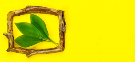 Greeting card for mother's day with bouquet of tender lilies of the valley with wooden frame on yellow background. spring nature concept.の写真素材