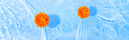 Beautiful marigold petals macro with drop floating on the surface of the water close up. It can be used as background. Flat lay, top view, copy space concept.の写真素材