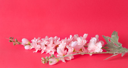 Bouquet of delicate artificial flowers on pink background. Decorative floral in the interior of the house.の写真素材