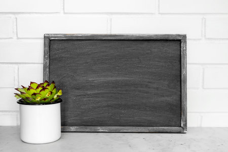 Evergreen succulents in small flower pots against white brick wall. Wooden frame. Home interior. Life style.の写真素材
