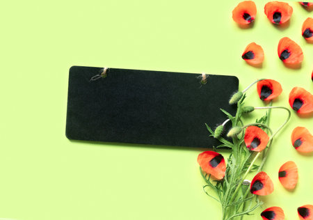 Memorial Day of Remembrance. Wooden black frame and bright red poppies on green background.