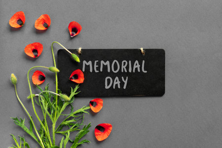 Memorial Day of Remembrance. Wooden black frame and bright red poppies on gray background.の写真素材