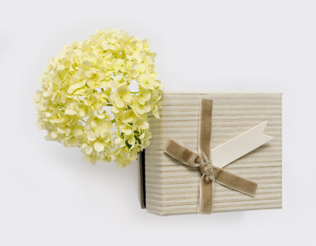 Beautiful bouquet of hydrangeas with gift box on white background. Greeting card for the holiday. Creative background with copy space for text. Flat lay, top view concept.の写真素材