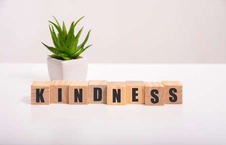 Word KINDNESS made with wood building blocks,stock imageの写真素材