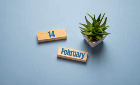 Valentine Day 14 february on wooden blocks on blueの写真素材