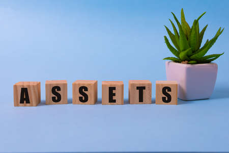 assets - word from wooden blocks with letters, useful or valuable thing assets concept, random letters around blue backgroundの写真素材