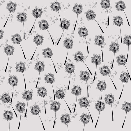 dandelions abstract patternの写真素材