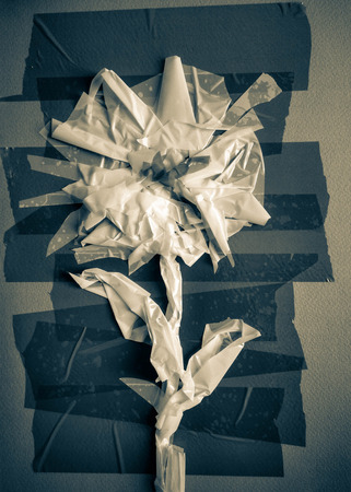 Abstract scotch flowerの写真素材