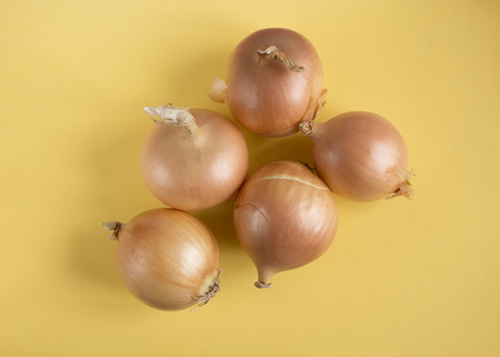 Onion on yellow paper backgroundの写真素材