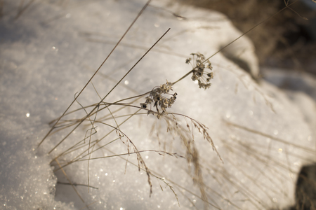 winter landscapeの写真素材