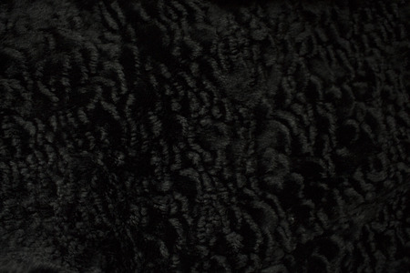 Fur black texture