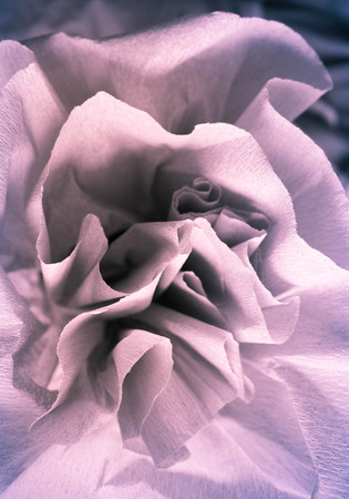 Vintage paper rosesの写真素材