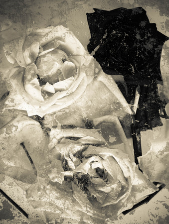 Vintage grunge rosesの写真素材